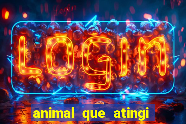 animal que atingi 230 decibeis